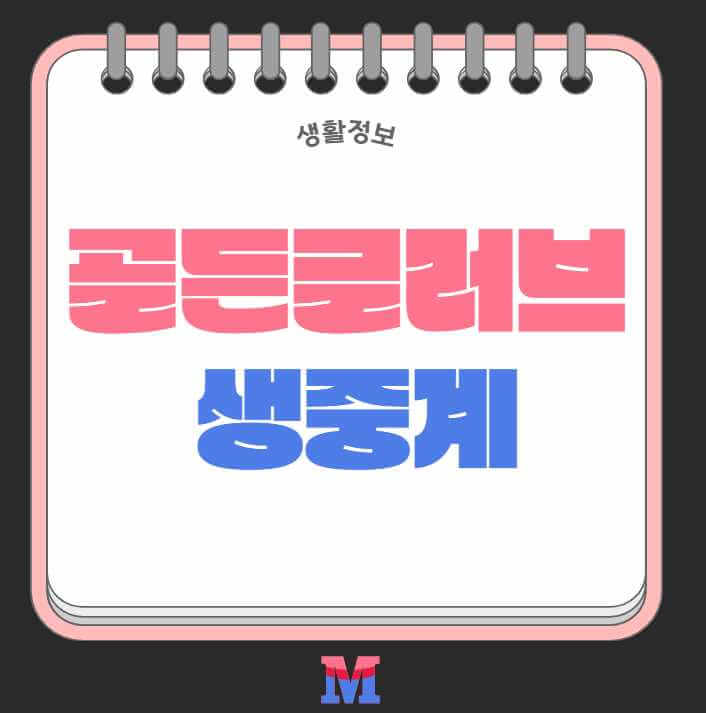 2024 골든글러브 중계