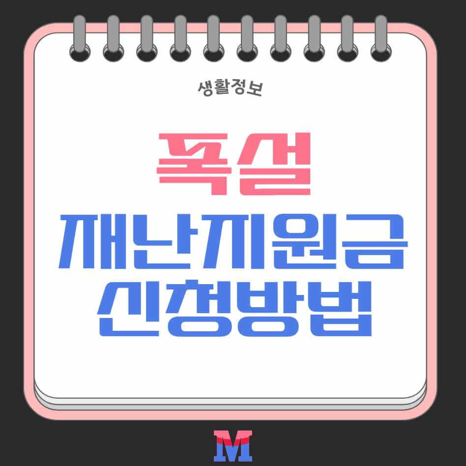 경기도 폭설 재난지원금