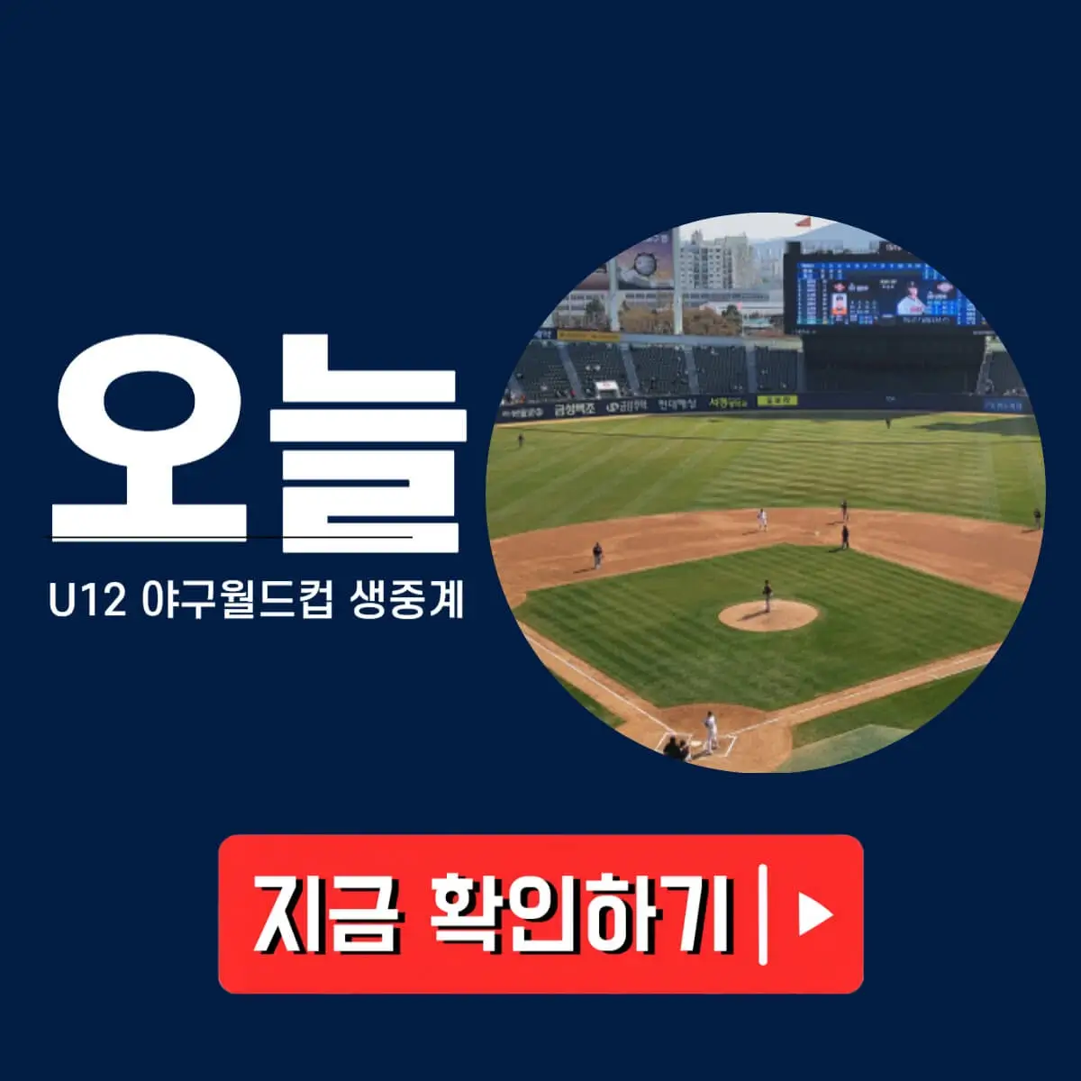 U12 야구월드컵 중계