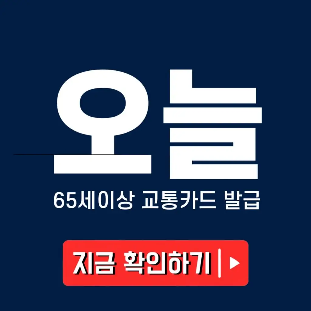 65세 교통