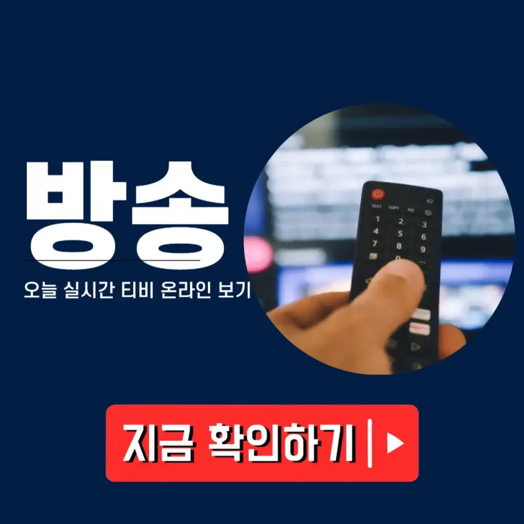 오늘 실시간 티비방송