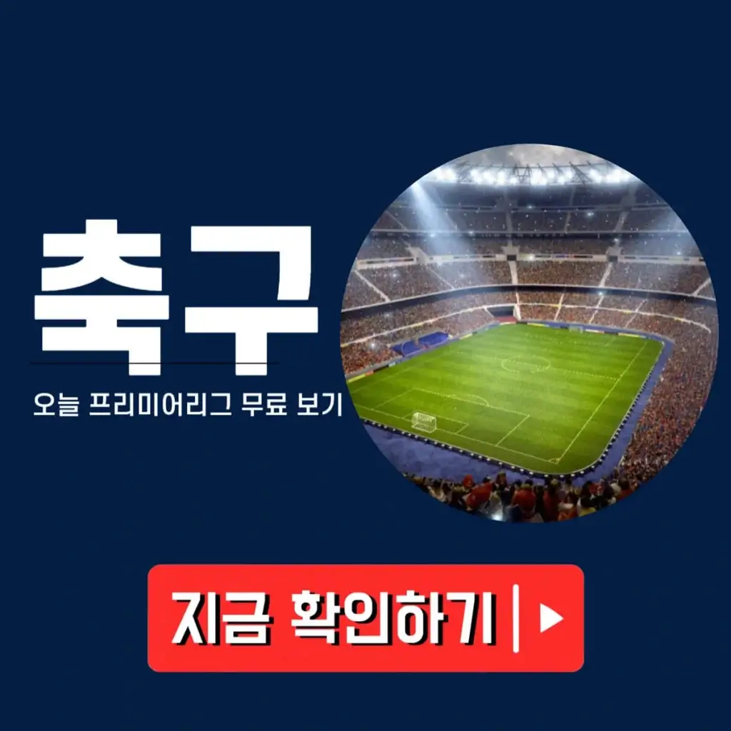 프리미어리그 해외축구
