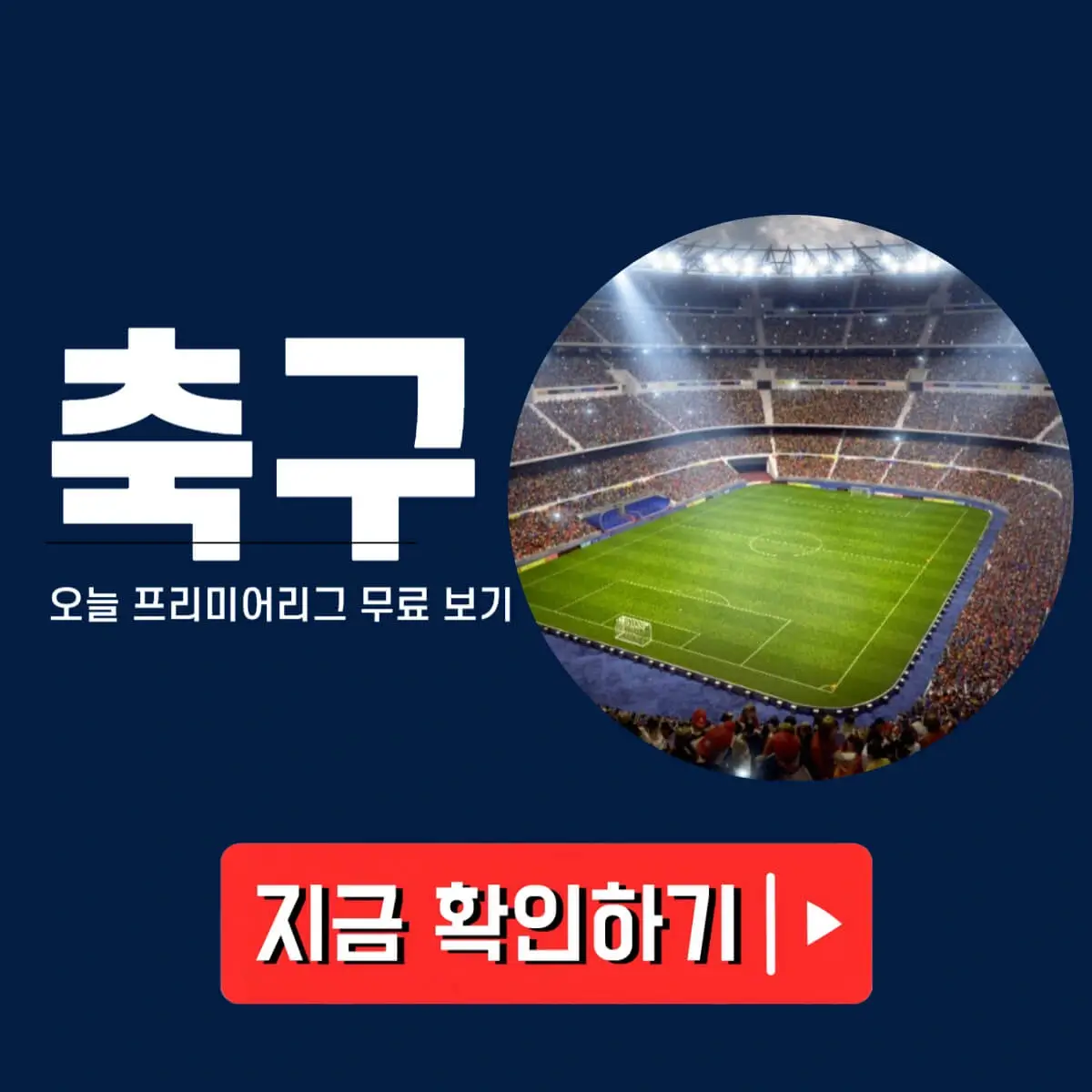 프리미어리그 해외축구