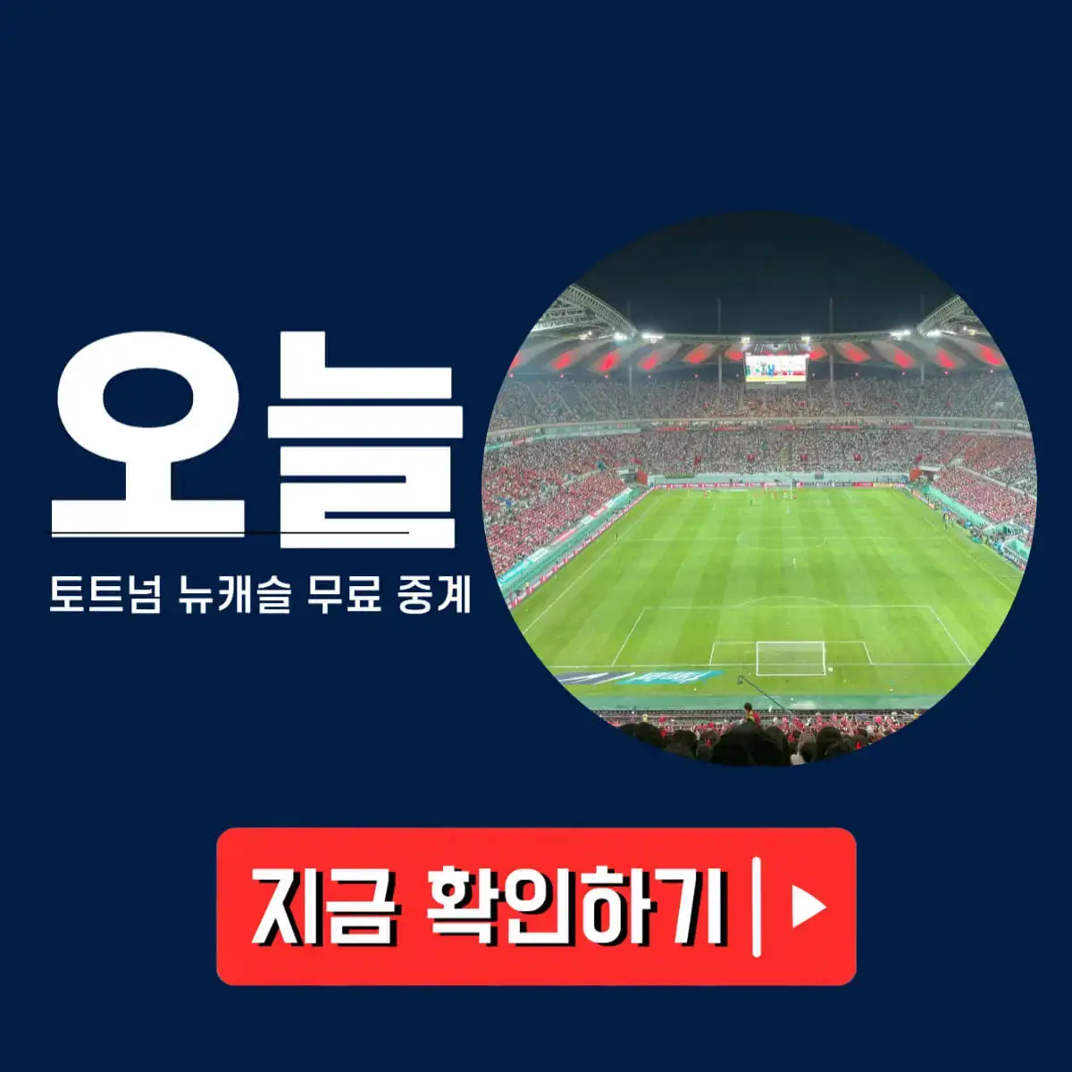 토트넘 뉴캐슬