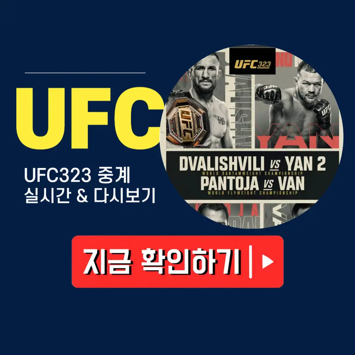 UFC323