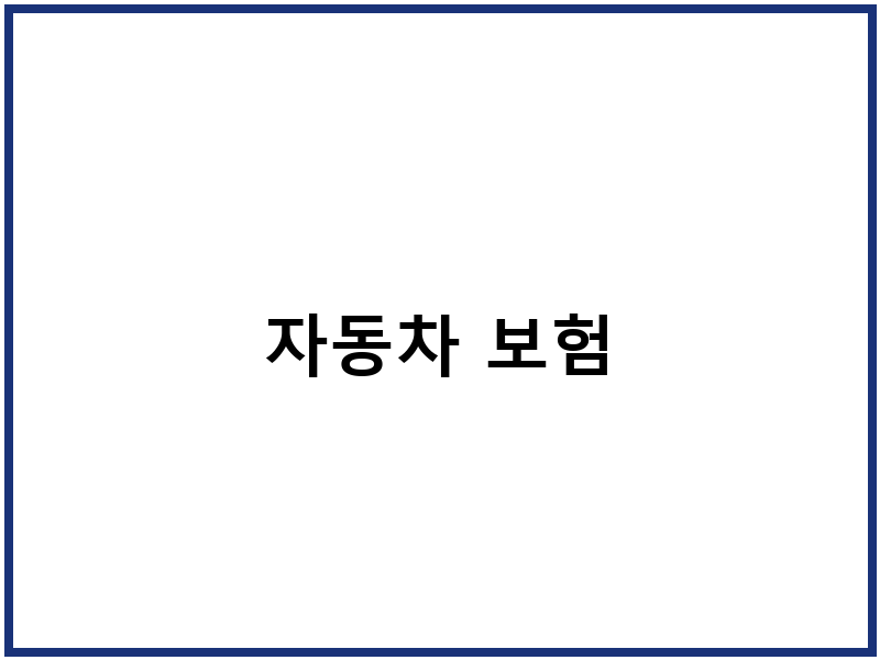 자동차 보험